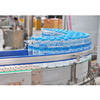 PET Bottle Water Washing Filling And Capping Machine