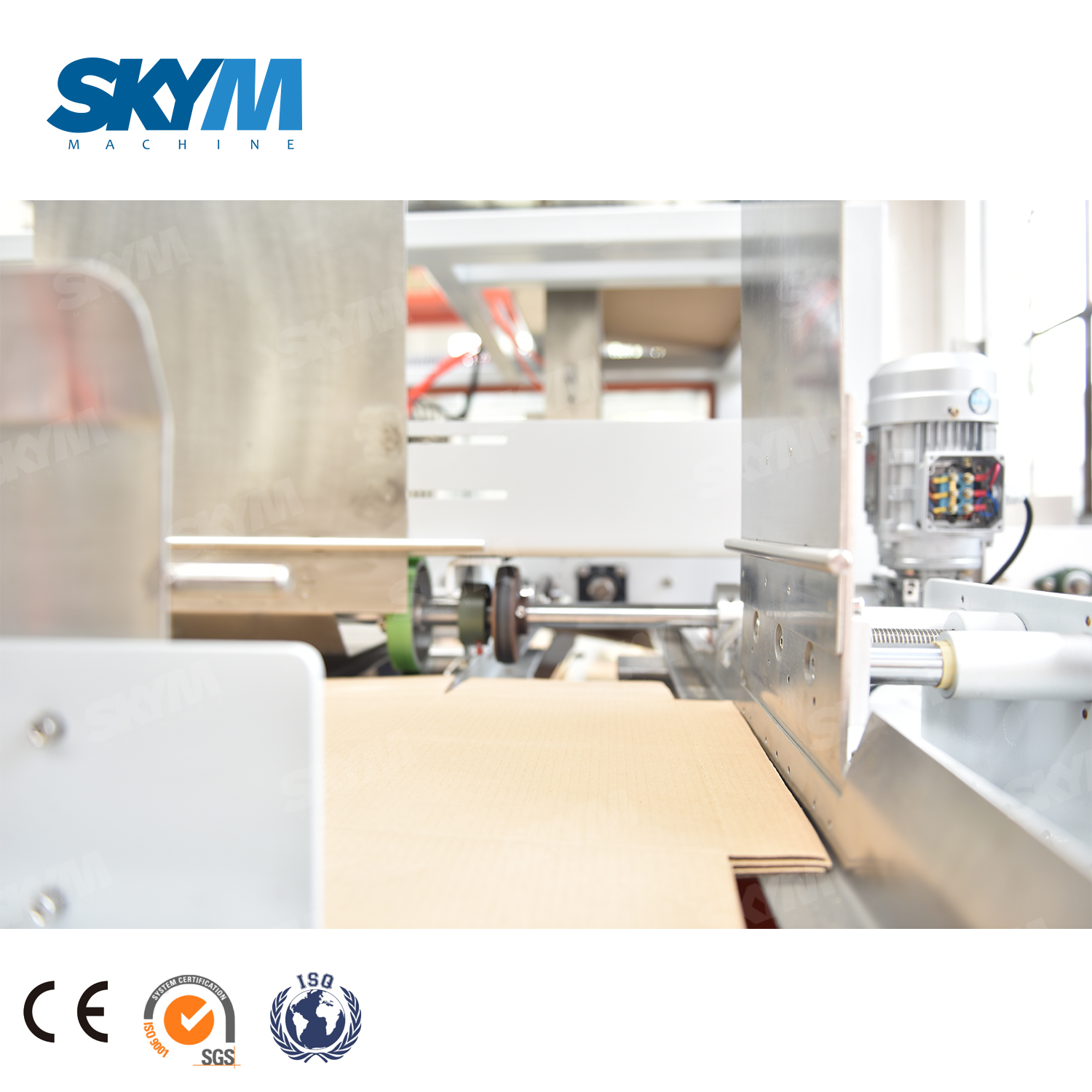 Drop Down Carton Packing Machine for Different Bottles 